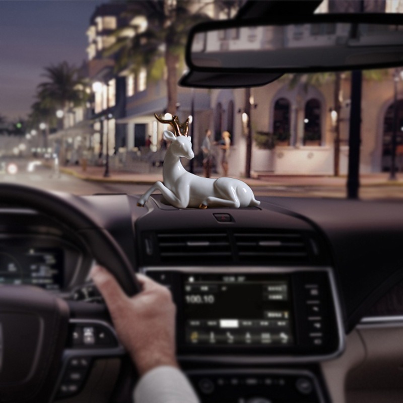 decor-xe-hoi-huou-trang 