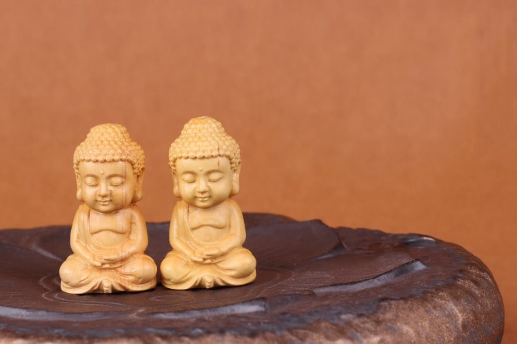 khanh-treo-xe-oto-phat-toa-dai-sen-trang